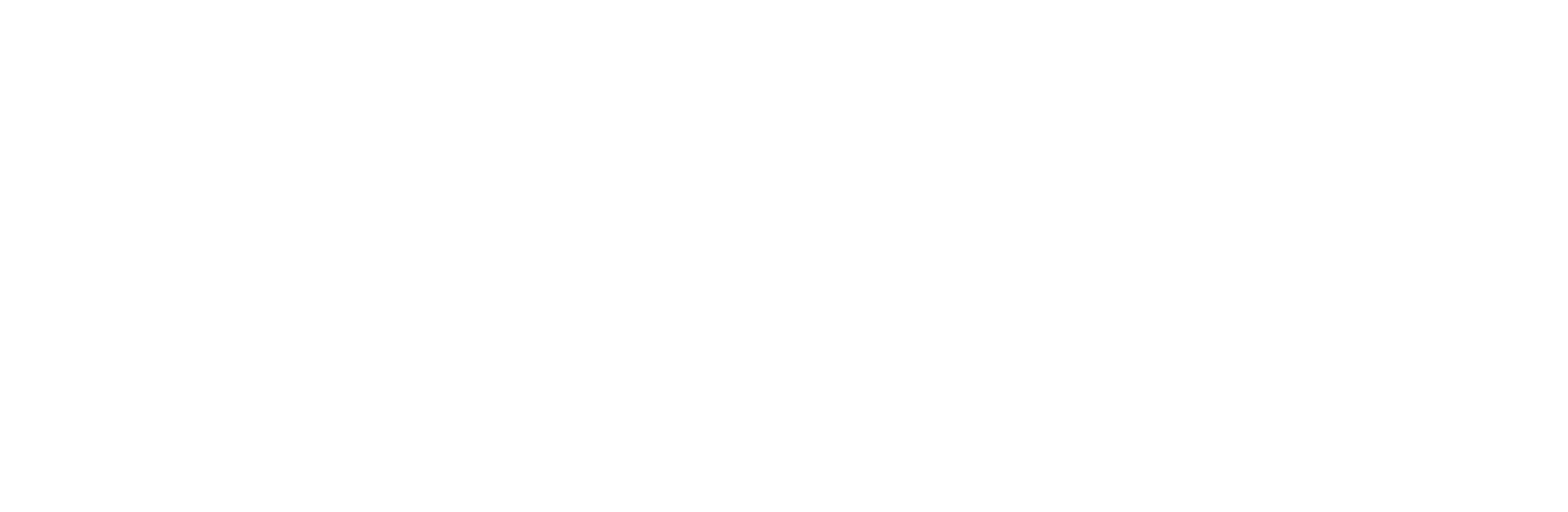 Visa Globus